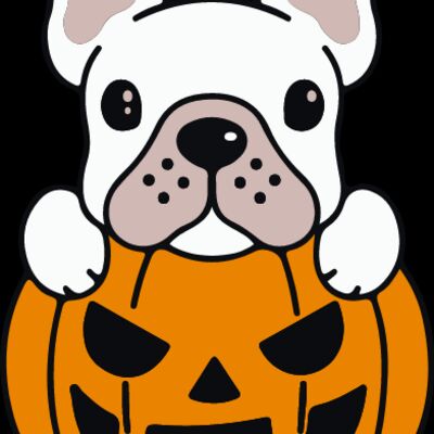 Pumpkin Frenchie White (0896) Thumbnail