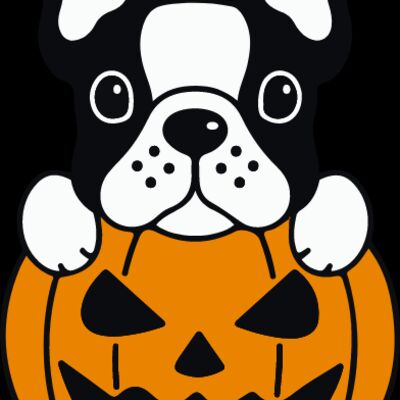 Pumpkin Frenchie (0895) Thumbnail