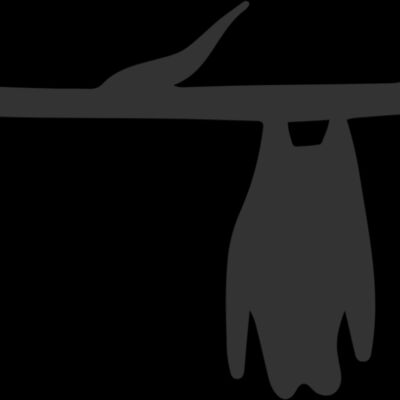 Bat on Branch (0864) Thumbnail