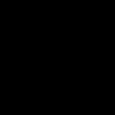 Spooky Tree Grave Bats (0886) Thumbnail