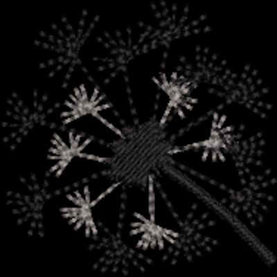 Dandelion (0335) Thumbnail