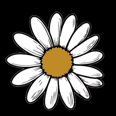Daisy Thumbnail