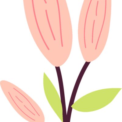 Asset 16 Thumbnail