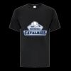 Everyday Heavy Cotton Men/Unisex Tee Thumbnail