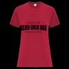 Everyday Heavy Cotton Ladies' Tee Thumbnail