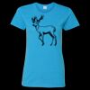 Heavy Cotton Women’s T-Shirt Thumbnail