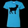 Heavy Cotton Women’s T-Shirt Thumbnail