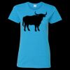 Heavy Cotton Women’s T-Shirt Thumbnail