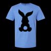  Men/Unisex Softstyle Lightweight T-Shirt Thumbnail