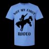  Men/Unisex Softstyle Lightweight T-Shirt Thumbnail