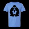  Men/Unisex Softstyle Lightweight T-Shirt Thumbnail