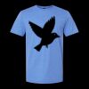  Men/Unisex Softstyle Lightweight T-Shirt Thumbnail