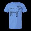  Men/Unisex Softstyle Lightweight T-Shirt Thumbnail