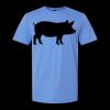  Men/Unisex Softstyle Lightweight T-Shirt Thumbnail