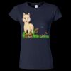 Softstyle Women’s Light Weight T-Shirt Thumbnail