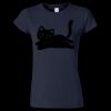 Softstyle Women’s Light Weight T-Shirt Thumbnail