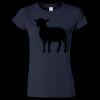 Softstyle Women’s Light Weight T-Shirt Thumbnail