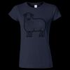 Softstyle Women’s Light Weight T-Shirt Thumbnail