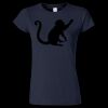 Softstyle Women’s Light Weight T-Shirt Thumbnail