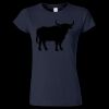Softstyle Women’s Light Weight T-Shirt Thumbnail