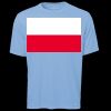 ATC Pro Team Polyester Short Sleeve Tee Thumbnail